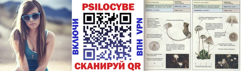 Купить  Колпашево  Галлюциногенные грибы Cubensis 